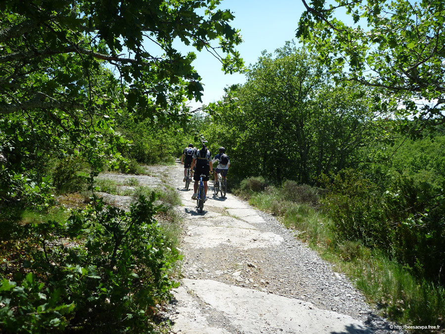20100521_291