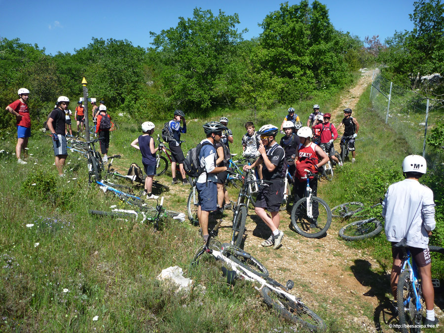 20100521_303