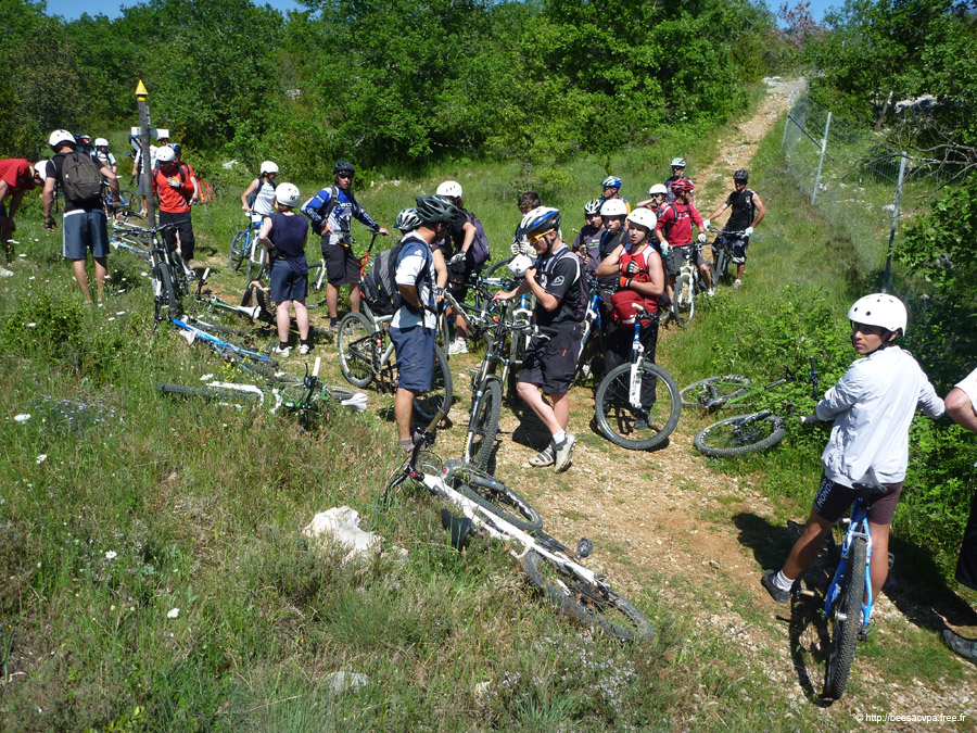 20100521_304