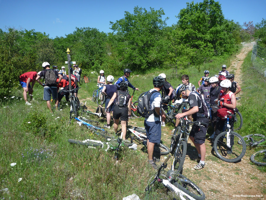 20100521_305