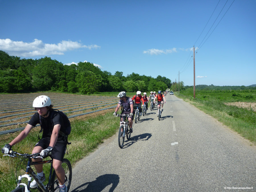 20100521_320