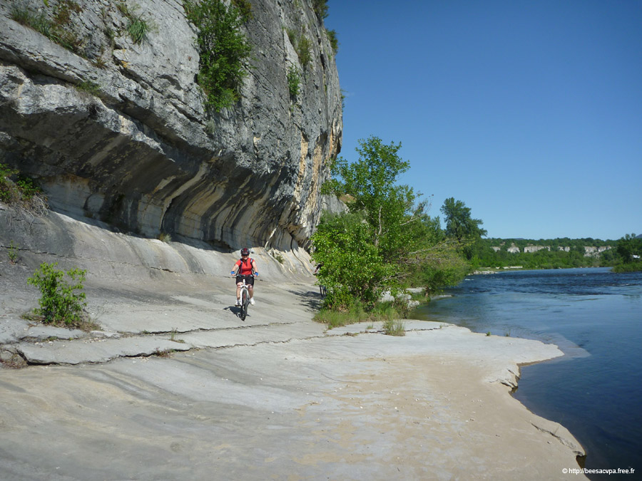 20100521_336