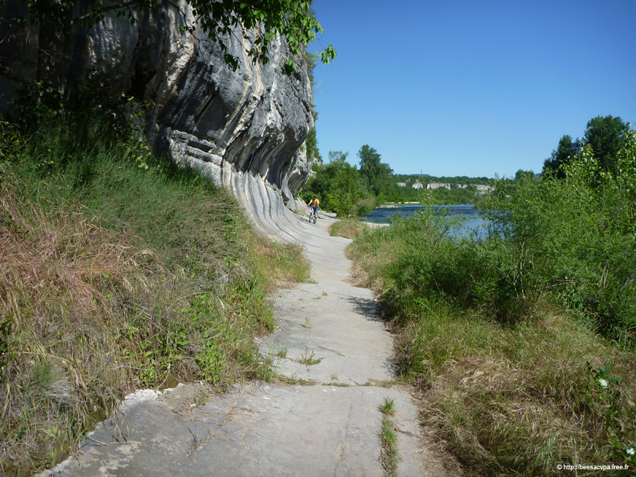 20100521_344