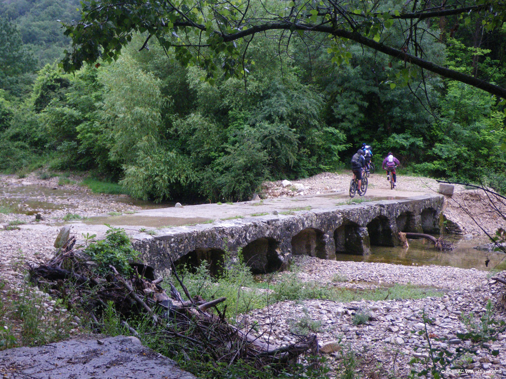20100615_001