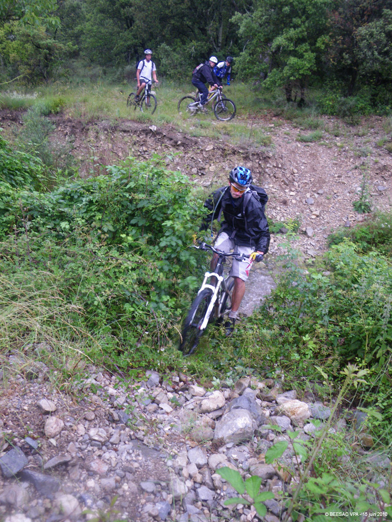 20100615_030