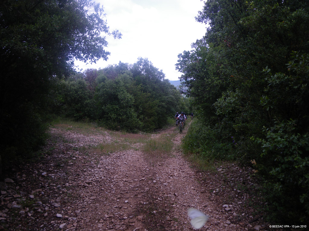 20100615_120