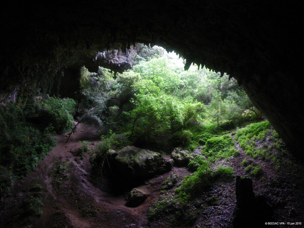 20100615_160