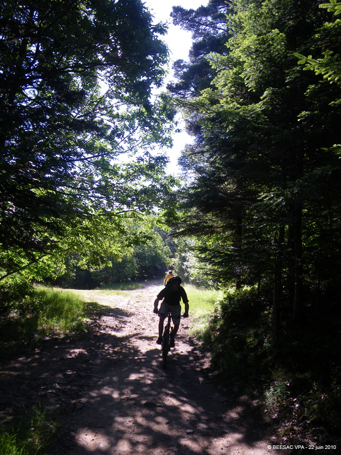 20100622_023