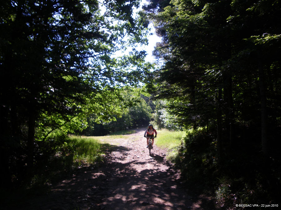 20100622_024