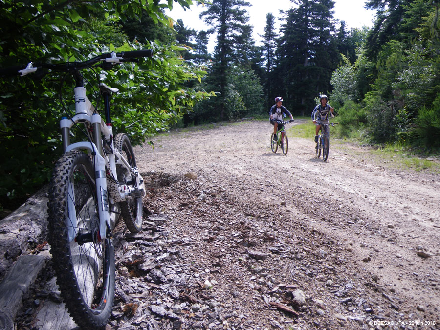 20100622_042