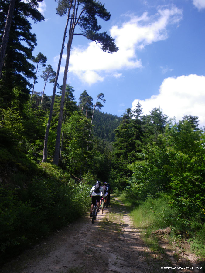 20100622_047