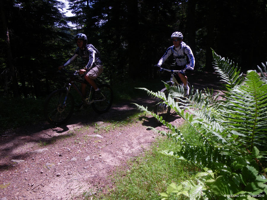 20100622_058