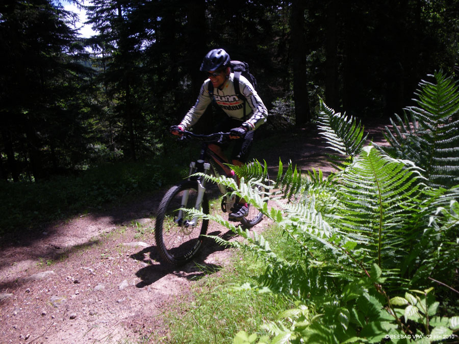 20100622_059