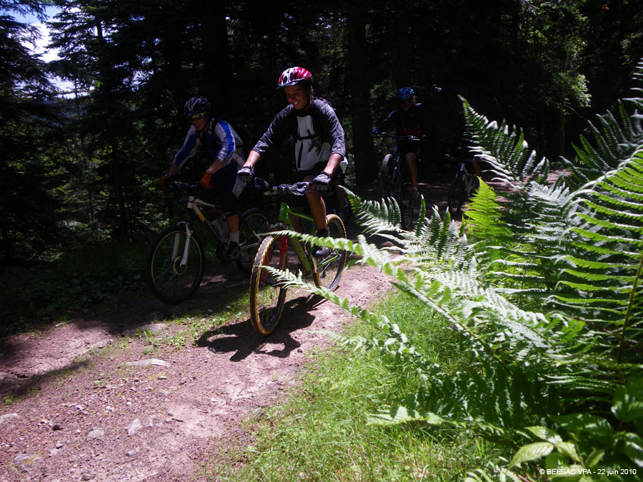 20100622_060