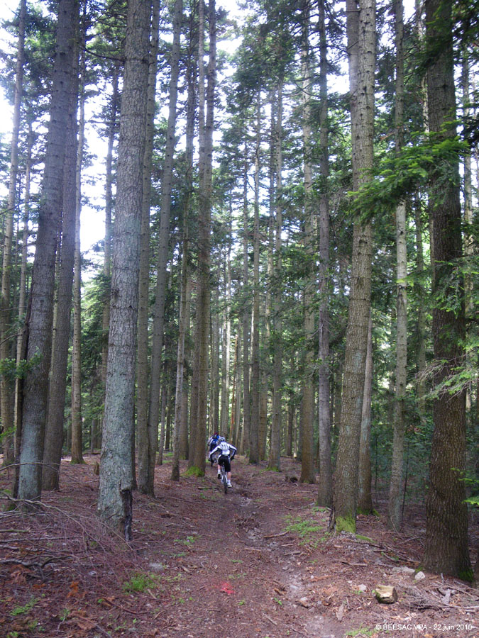 20100622_070