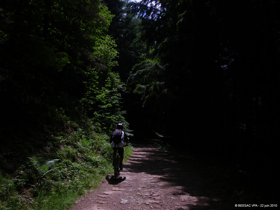 20100622_085