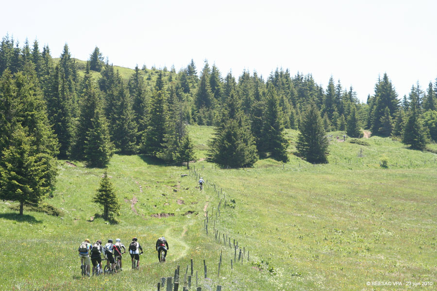 20100623_048