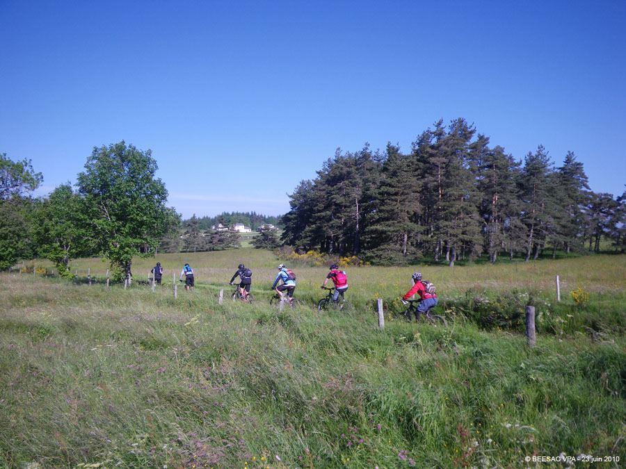 20100623_071