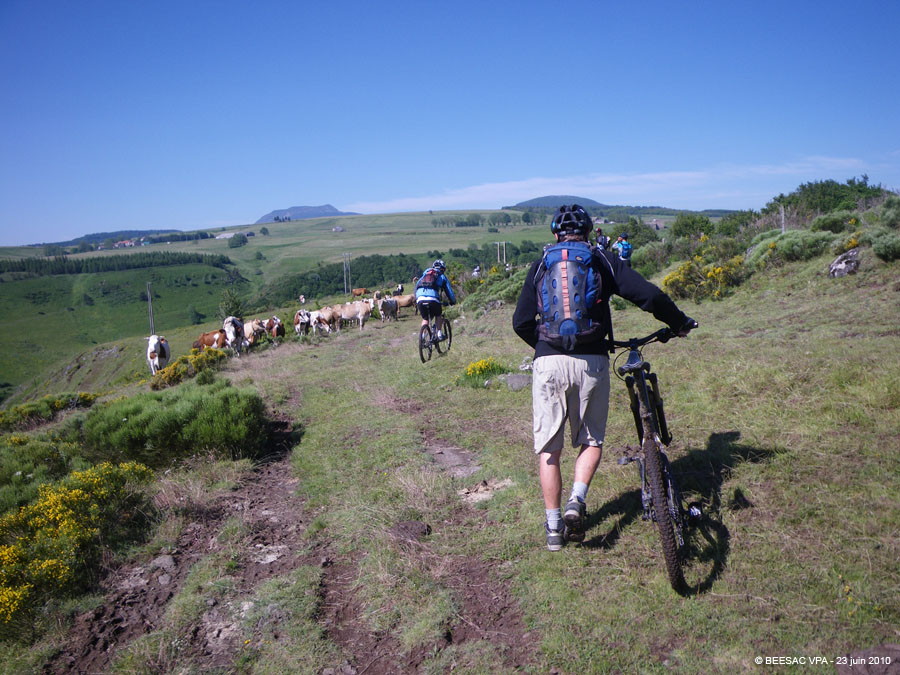 20100623_089