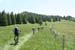 20100623_047