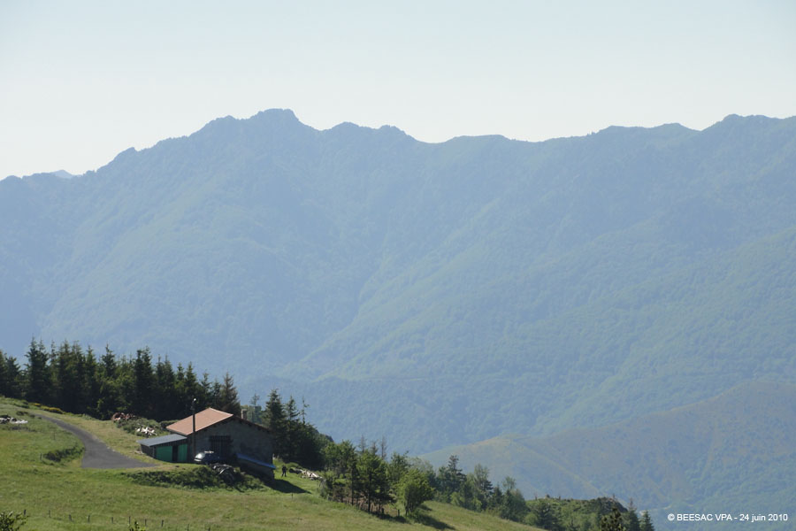 20100624_006b