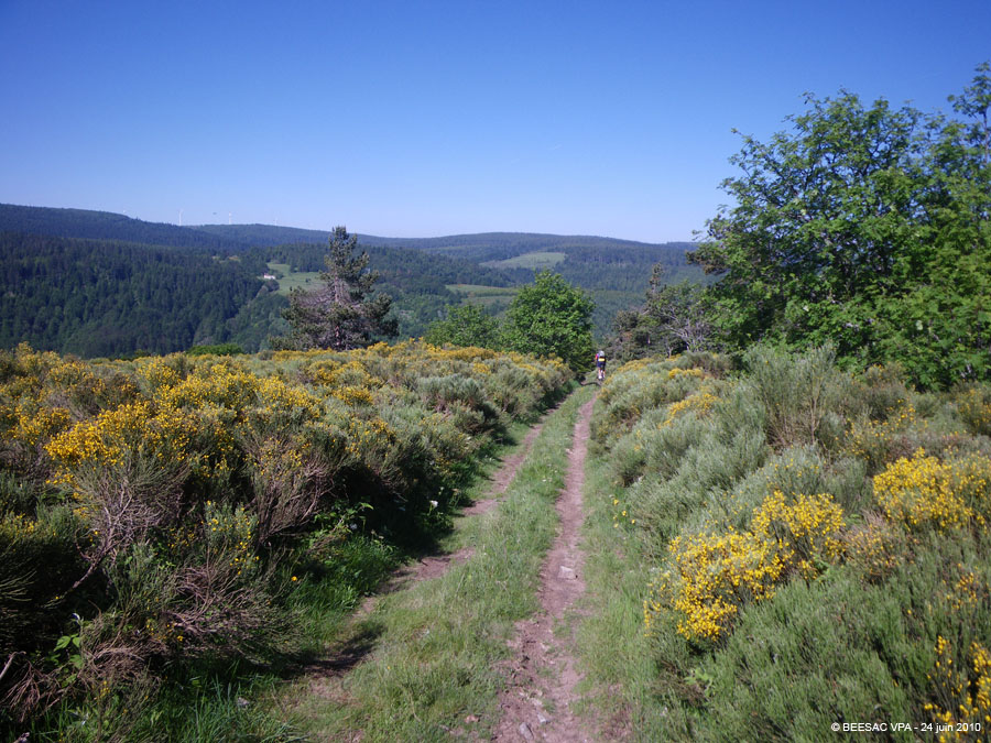 20100624_007