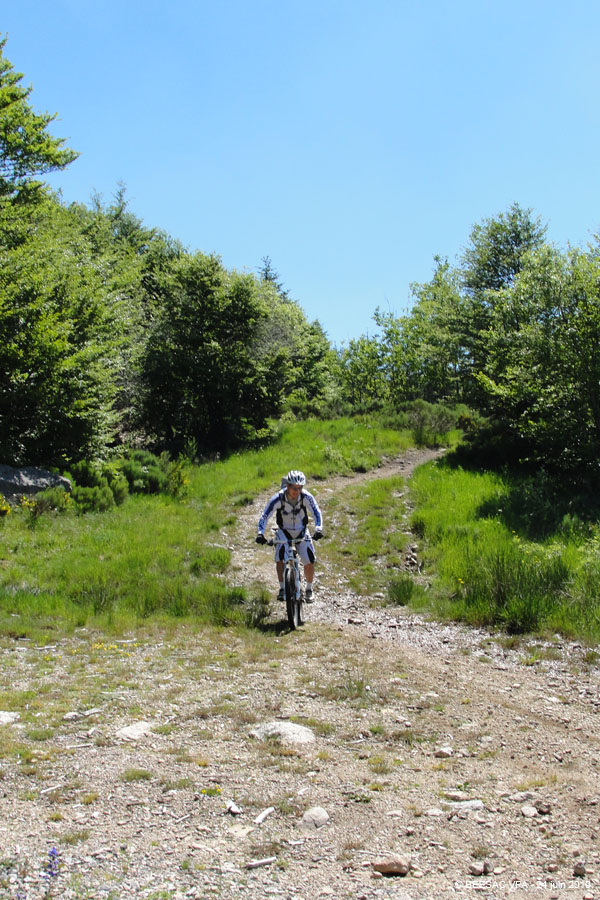 20100624_026a