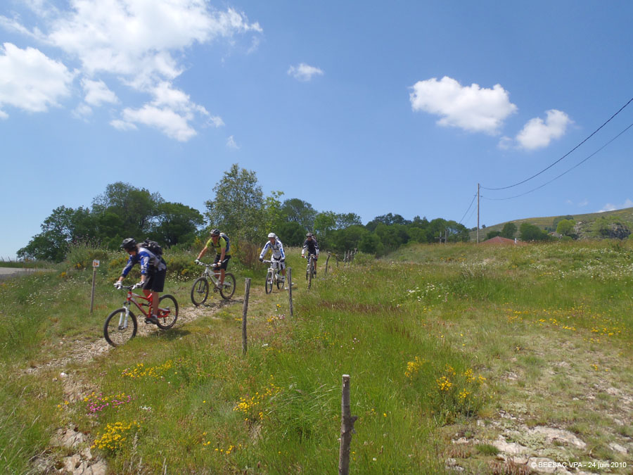 20100624_072
