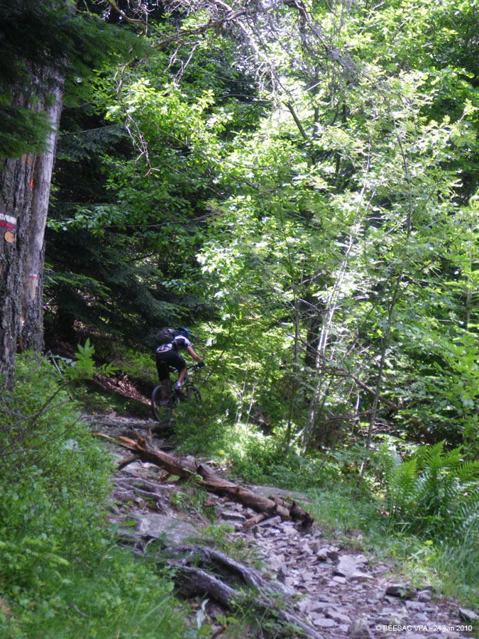 20100624_075