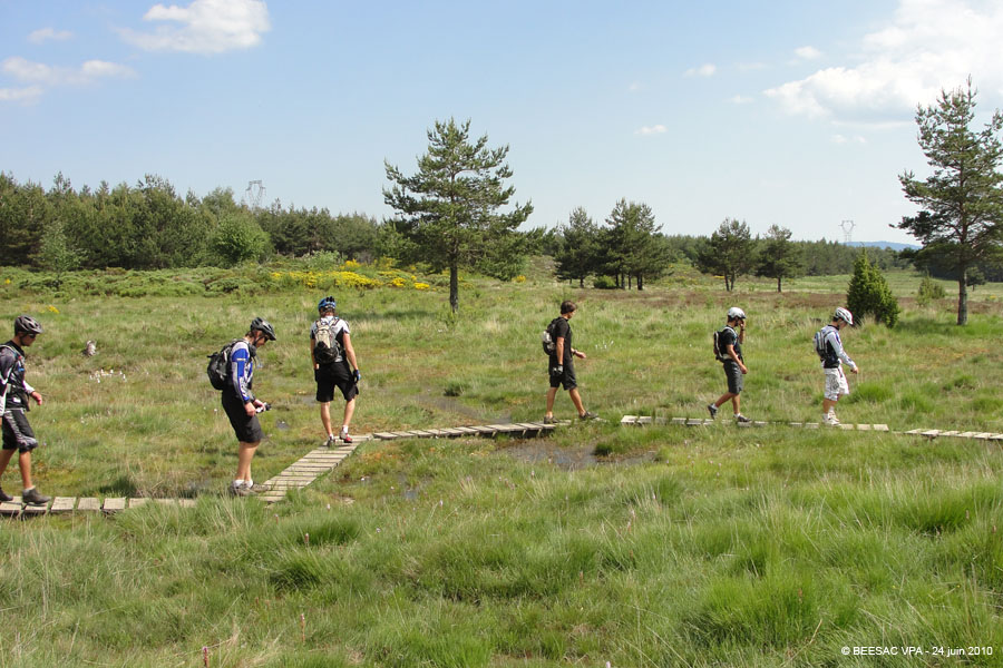 20100624_110