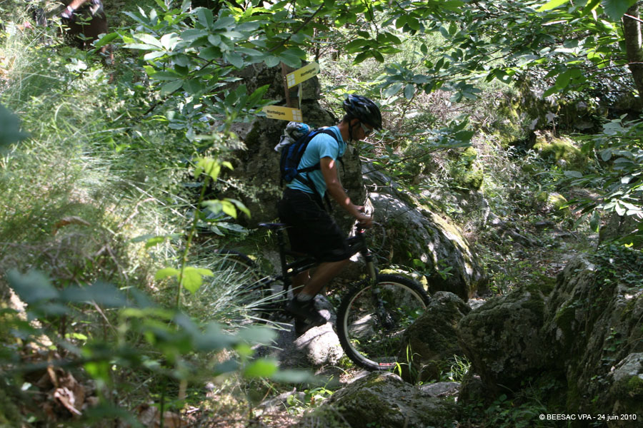 20100624_113
