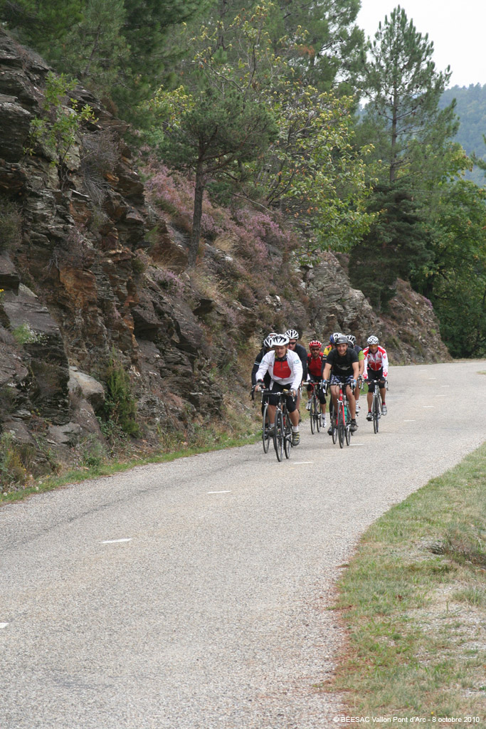 20101008_046
