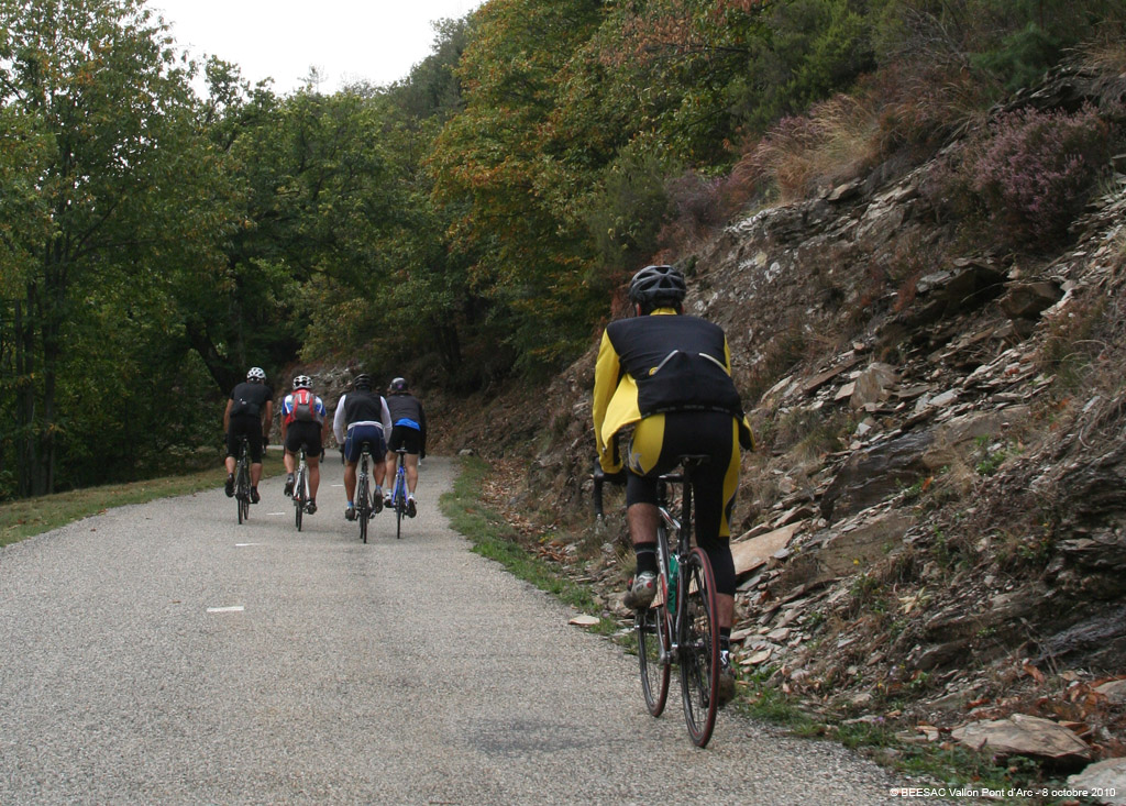 20101008_078