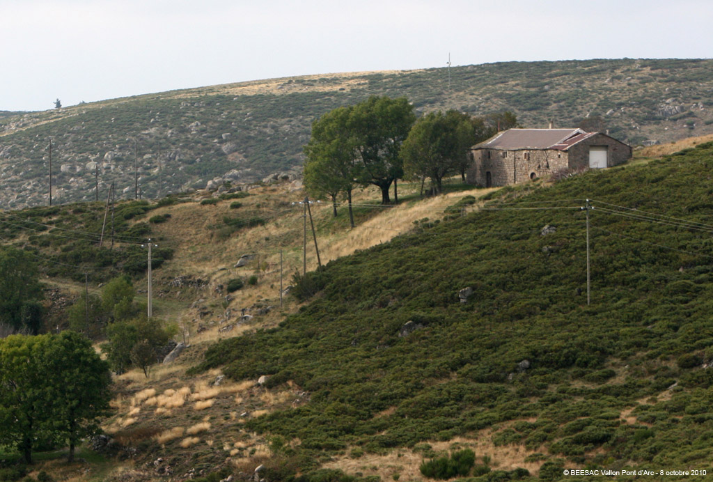 20101008_125
