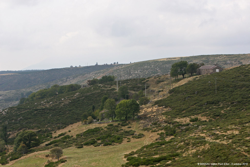 20101008_126