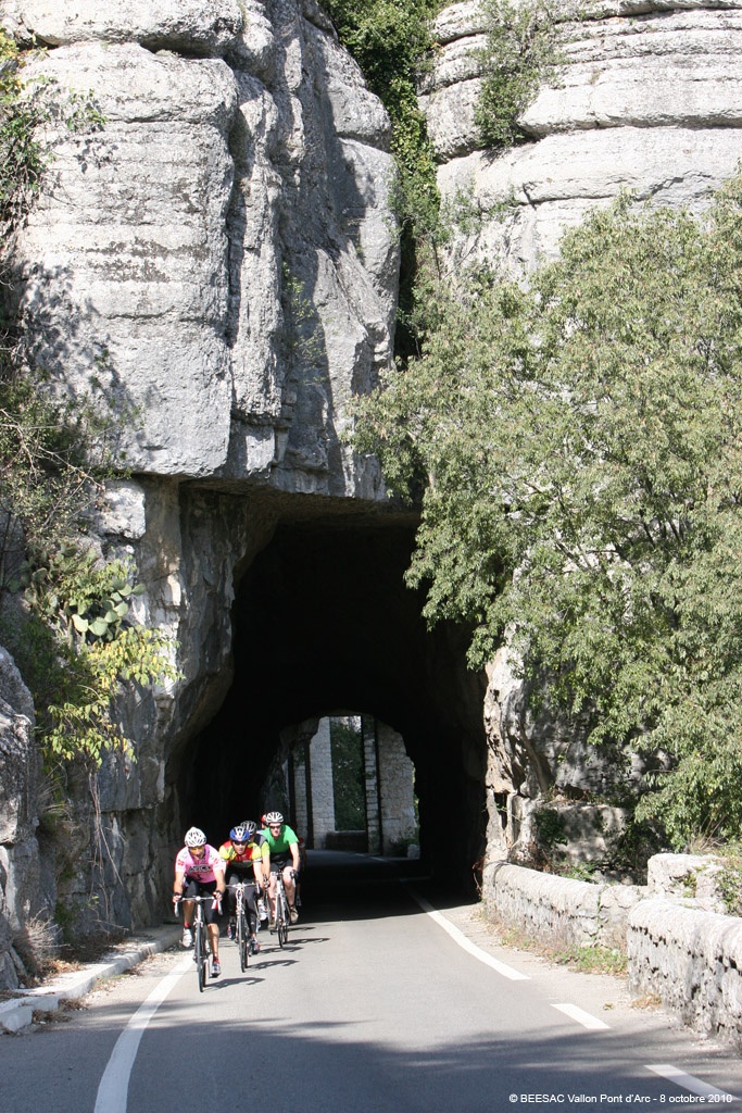 20101008_263