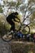 20101019trial37
