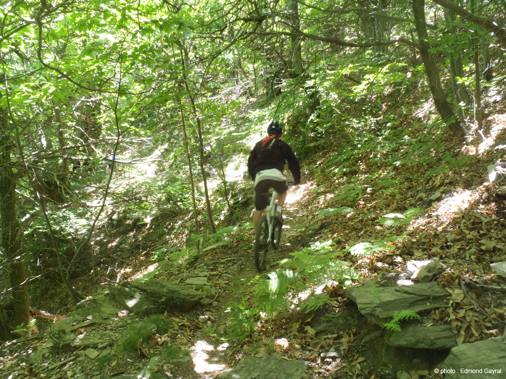20110527eg_54
