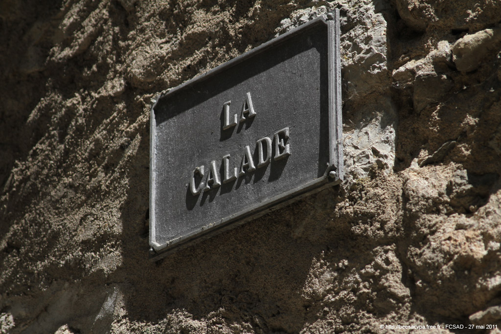 20110527_069