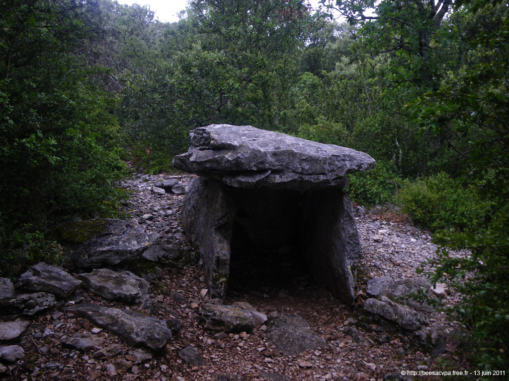 20110613_135