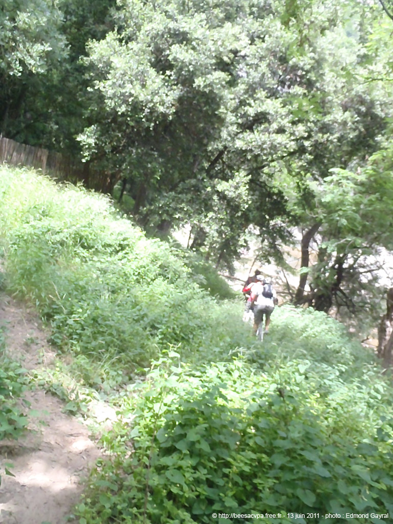 20110613eg_065