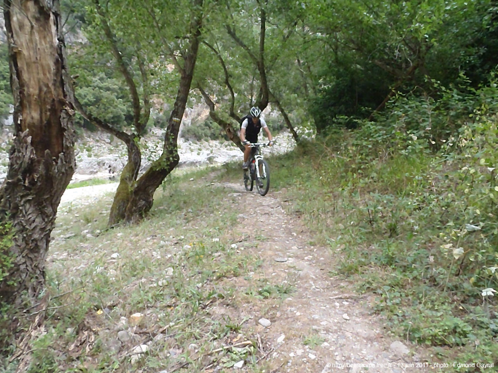 20110613eg_128