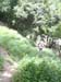 20110613eg_065
