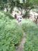 20110613eg_066
