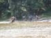 20110613eg_090