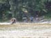 20110613eg_091