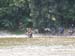 20110613eg_092