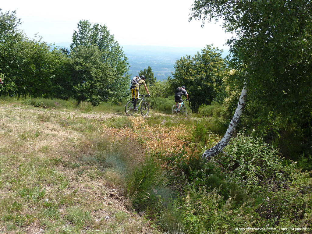 20110624_280